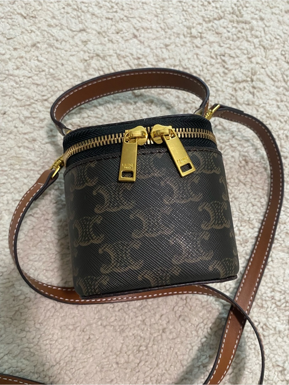 Triomphe Canvas Mini Vanity Bag